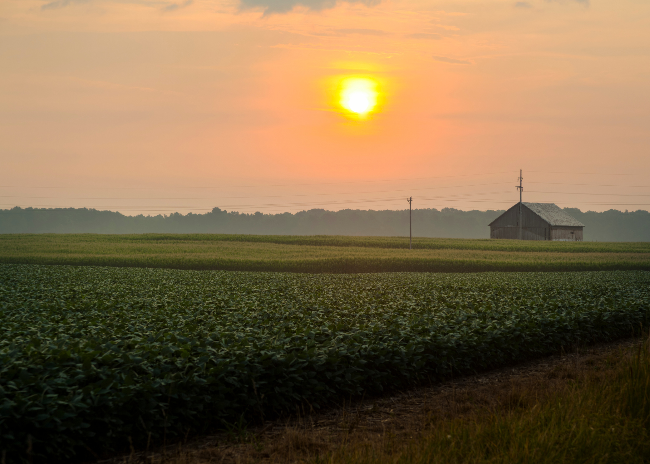 Ohio Farm Sunrise